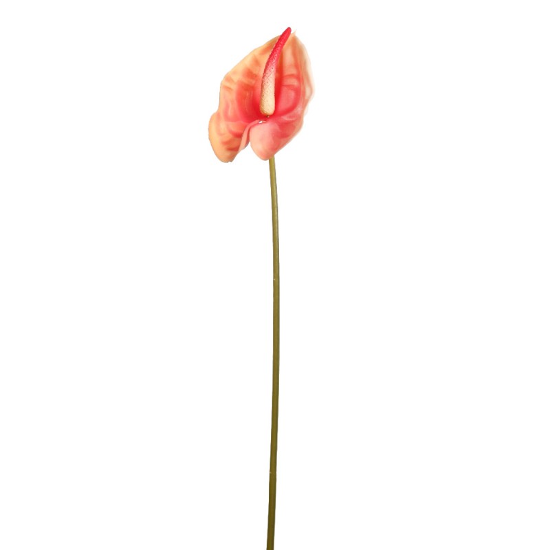 VARA ANTURIUM 45 CM