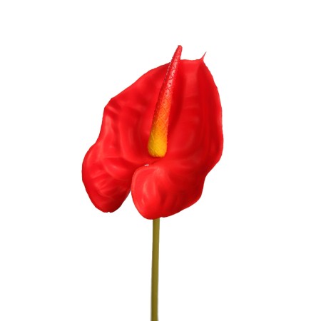 VARA ANTURIUM 45 CM