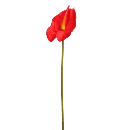 VARA ANTURIUM 45 CM