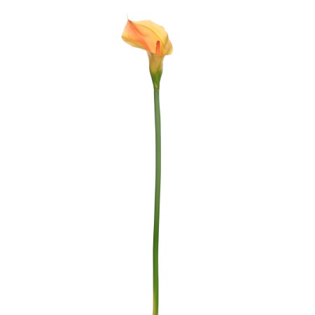 VARA CALA ARTIFICIAL 70CM