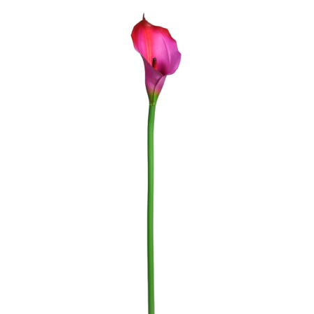VARA CALA ARTIFICIAL 70CM