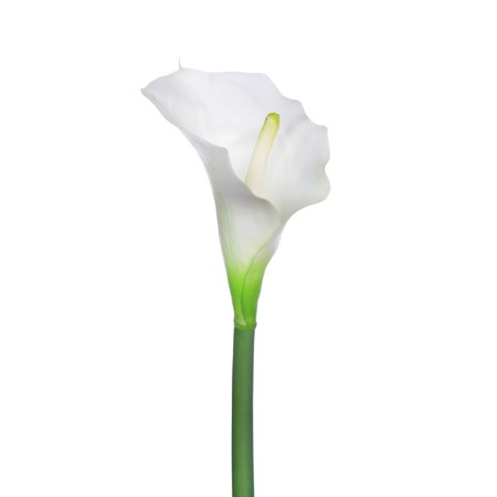 VARA CALA ARTIFICIAL 70CM