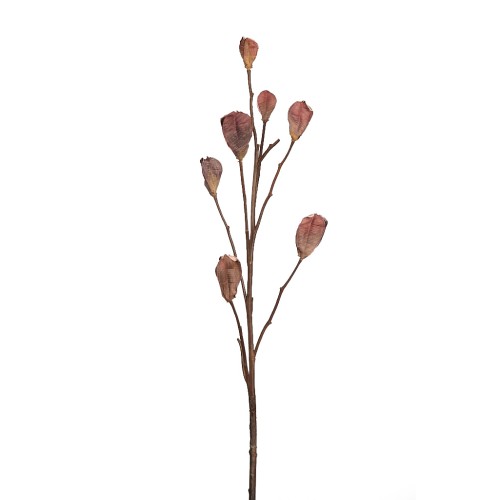 VARA CASABLANCA PODS 80CM