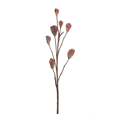 VARA CASABLANCA PODS 80CM