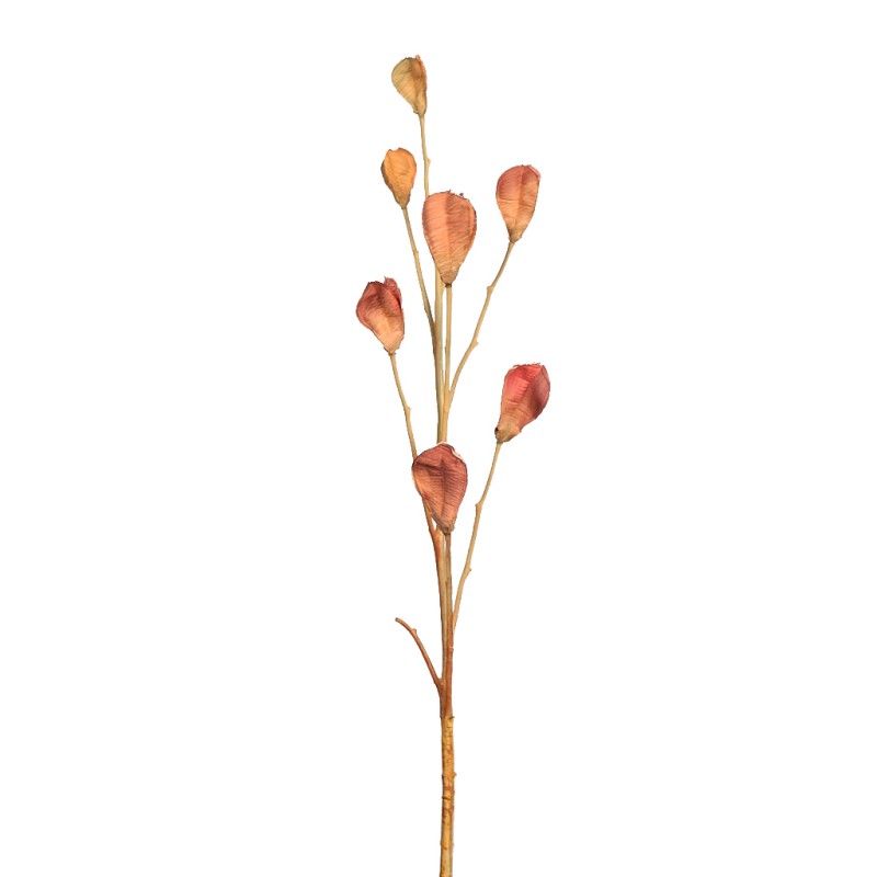 VARA CASABLANCA PODS 80CM