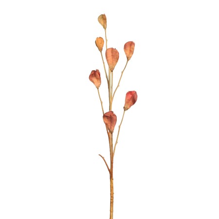 VARA CASABLANCA PODS 80CM