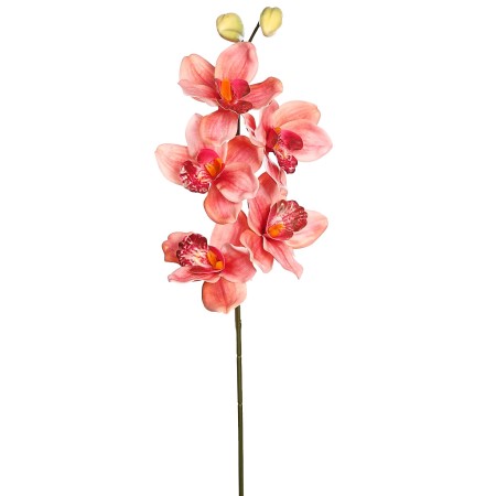 VARA CIMBIDIUM 70 CM
