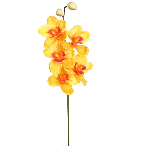 VARA CIMBIDIUM 70 CM
