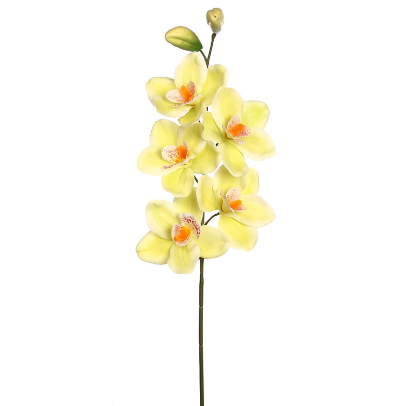 VARA CIMBIDIUM 70 CM