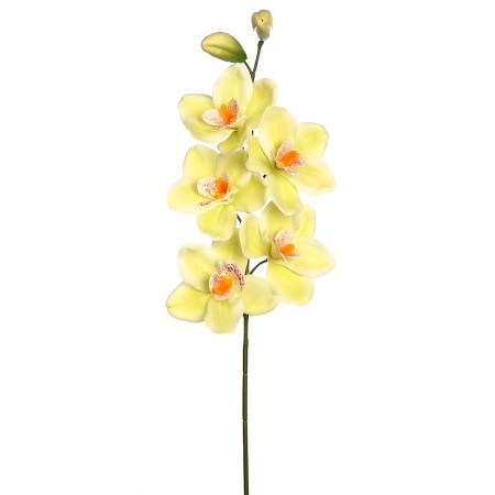 VARA CIMBIDIUM 70 CM