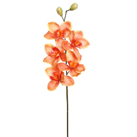 VARA CIMBIDIUM 70 CM