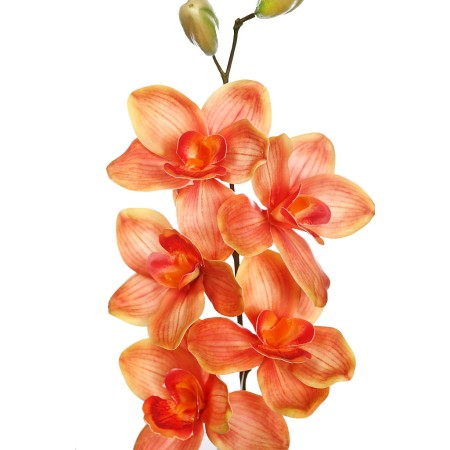 VARA CIMBIDIUM 70 CM