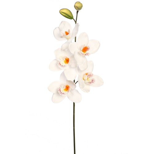 VARA CIMBIDIUM 70 CM 2
