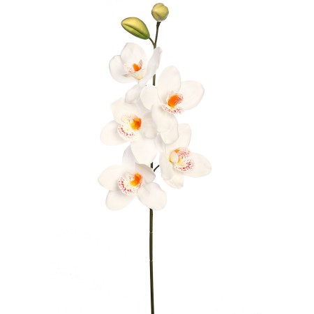 VARA CIMBIDIUM 70 CM
