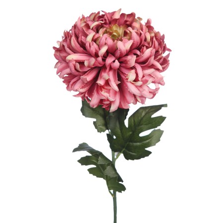 VARA CRISANTEMO GIGANTE 80CM