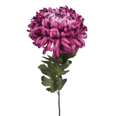 VARA CRISANTEMO GIGANTE 80CM