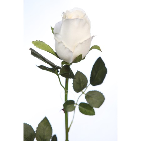 VARA DE CAPULLO ARTIFICIAL 60CM