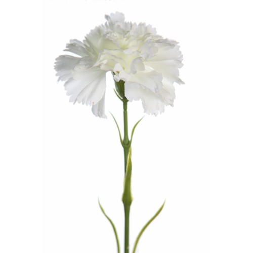 VARA DE CLAVEL ARTIFICIAL 58CM 2