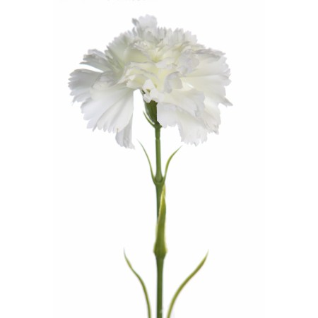 VARA DE CLAVEL ARTIFICIAL 58CM