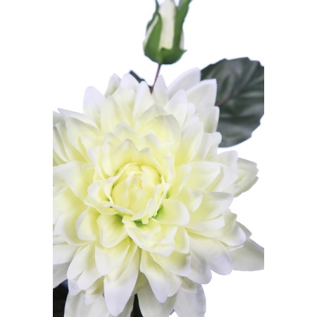 VARA DE DALIA 65 CM