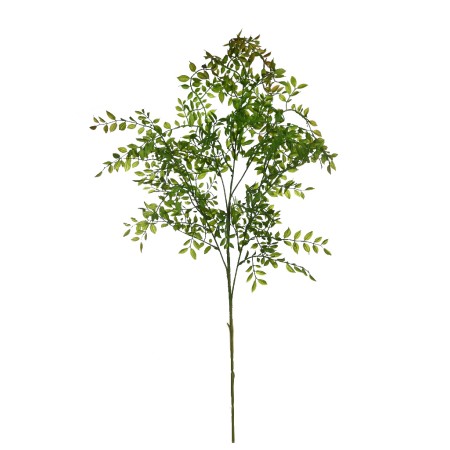 VARA DE EUCALIPTO 100CM