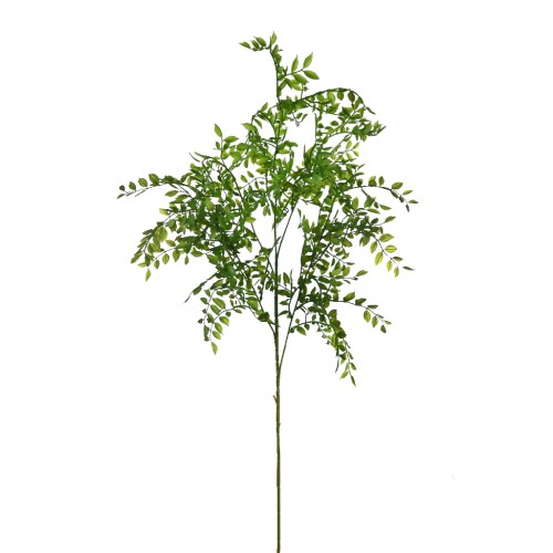 VARA DE EUCALIPTO 100CM 2