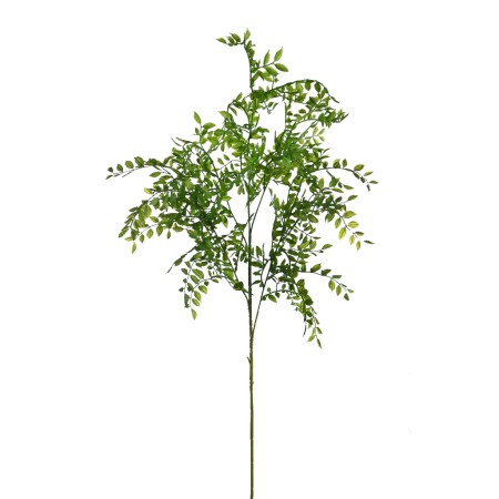 VARA DE EUCALIPTO 100CM