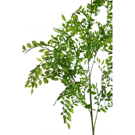 VARA DE EUCALIPTO 100CM