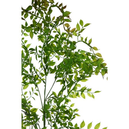 VARA DE EUCALIPTO 100CM