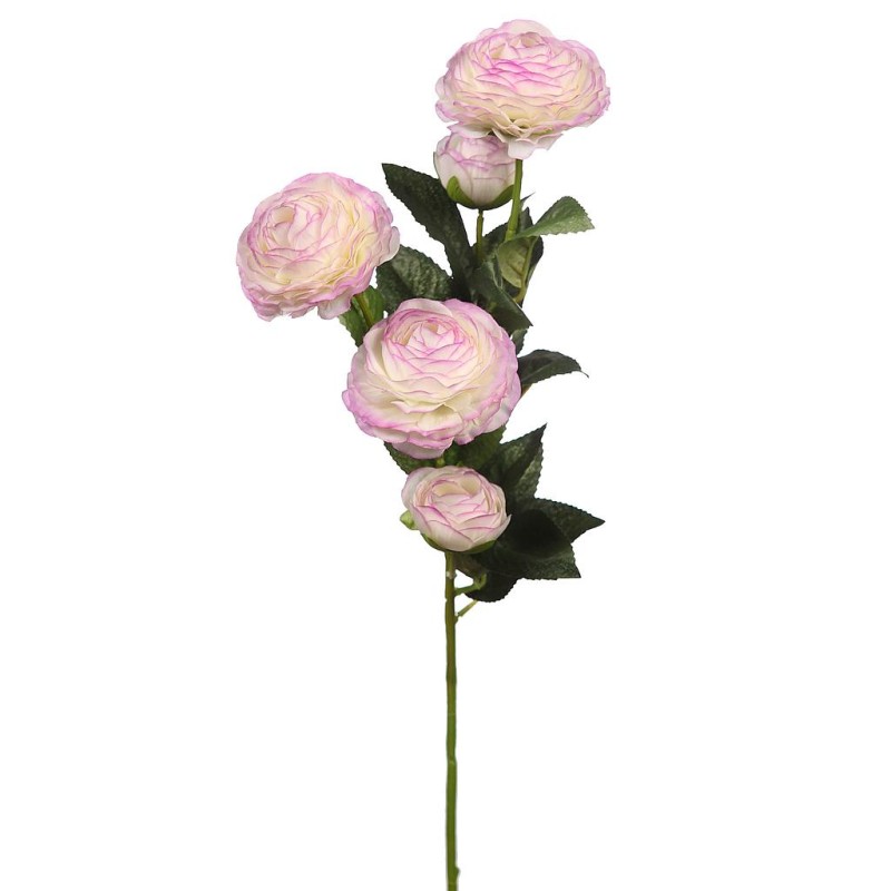 VARA DE RANUCULO 73CM