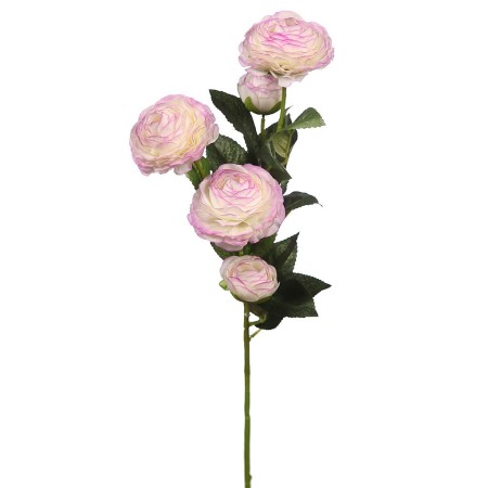 VARA DE RANUCULO 73CM