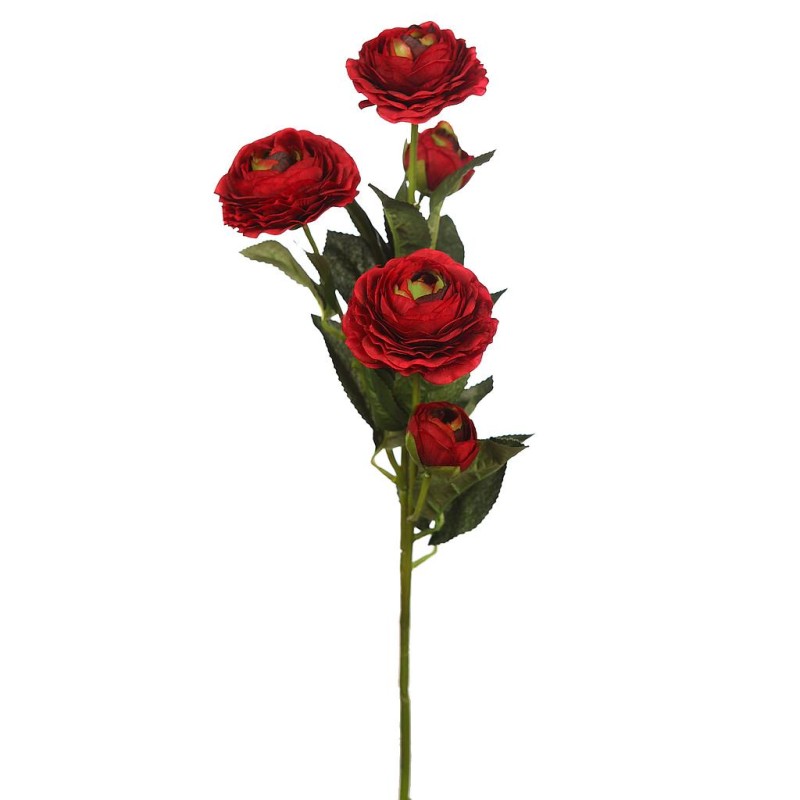 VARA DE RANUCULO 73CM