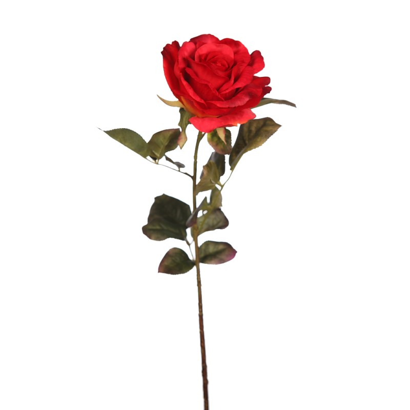 VARA DE ROSA