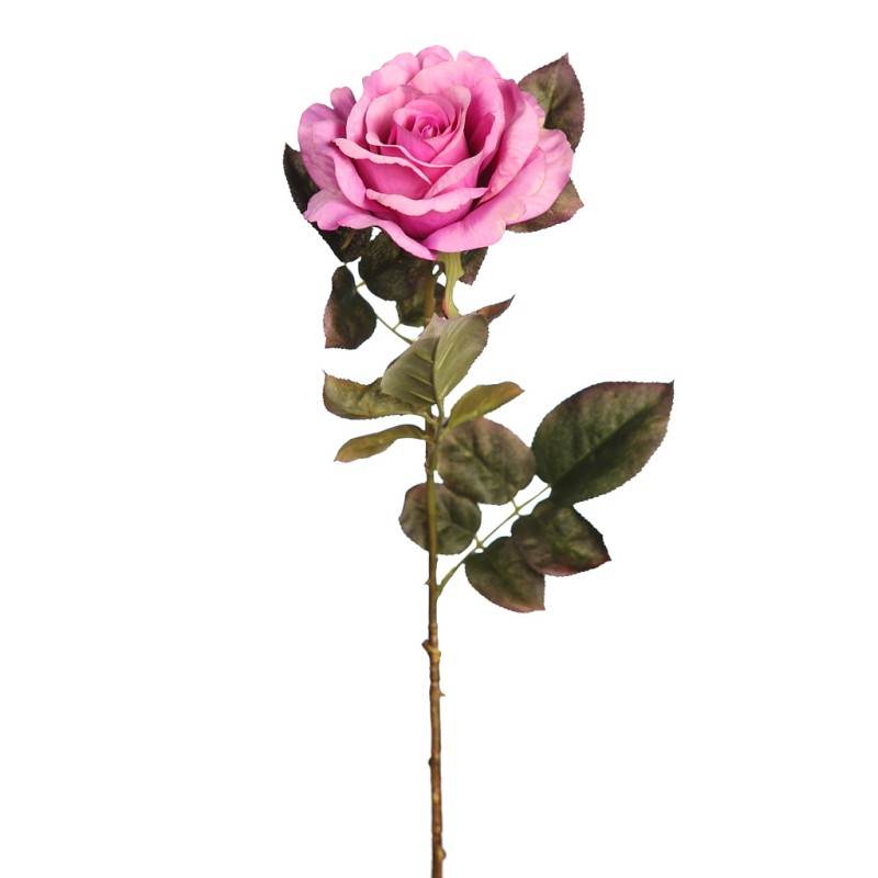 VARA DE ROSA