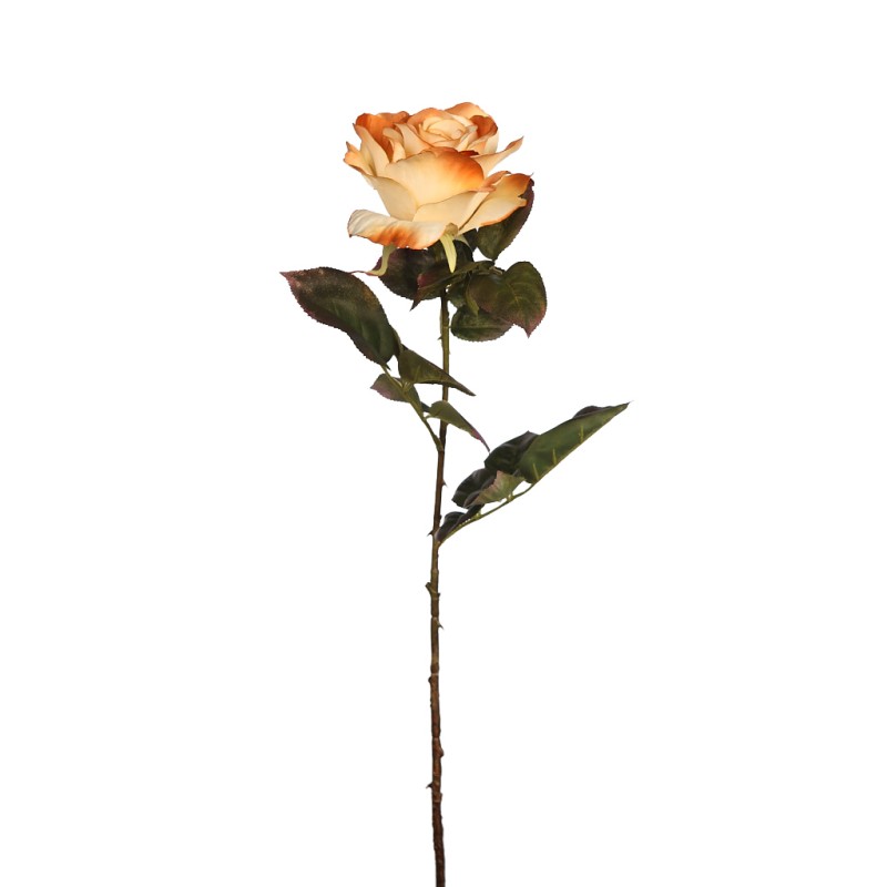 VARA DE ROSA