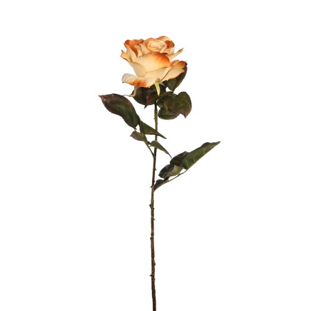VARA DE ROSA