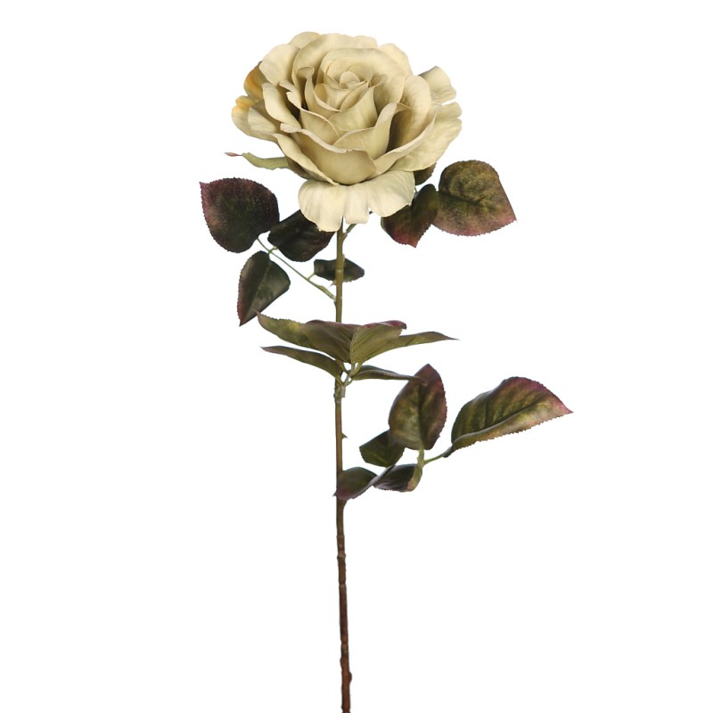 VARA DE ROSA