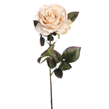 VARA DE ROSA