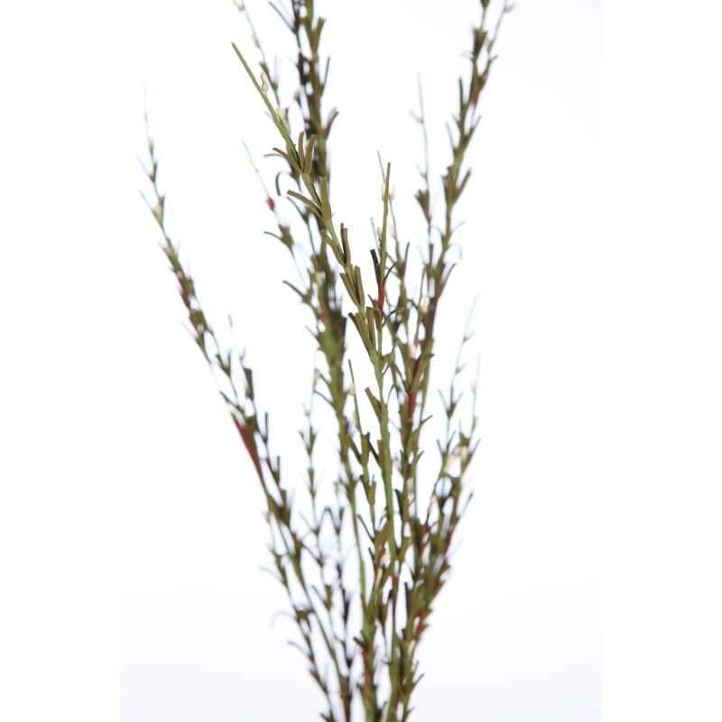 VARA FIELD FOAM 83CM