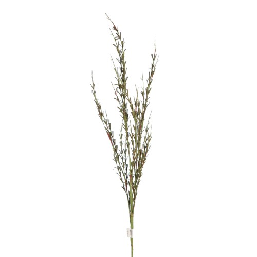 VARA FIELD FOAM 83CM