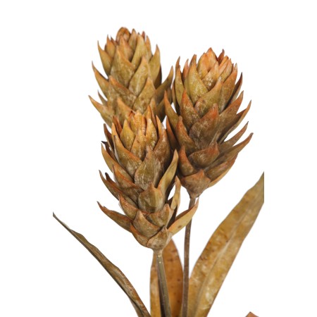 VARA GUZMANIA VINTAGE 74CM
