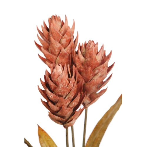 VARA GUZMANIA VINTAGE 74CM 2