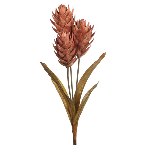 VARA GUZMANIA VINTAGE 74CM