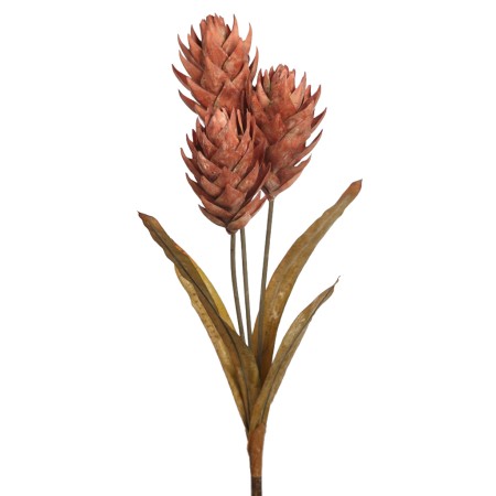 VARA GUZMANIA VINTAGE 74CM