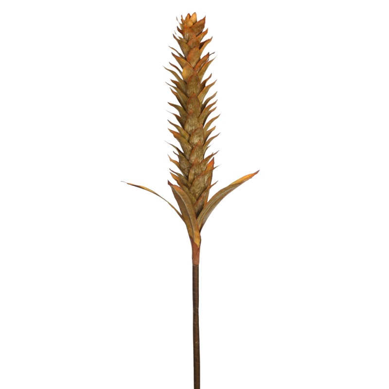 VARA GUZMANIA VINTAGE FOAM 124CM