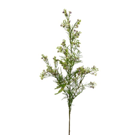 VARA GYPSOFILA ARTIFICIAL