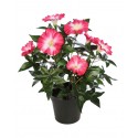 IMPATIENS ARTIFICIAL 32CM EN MACETA