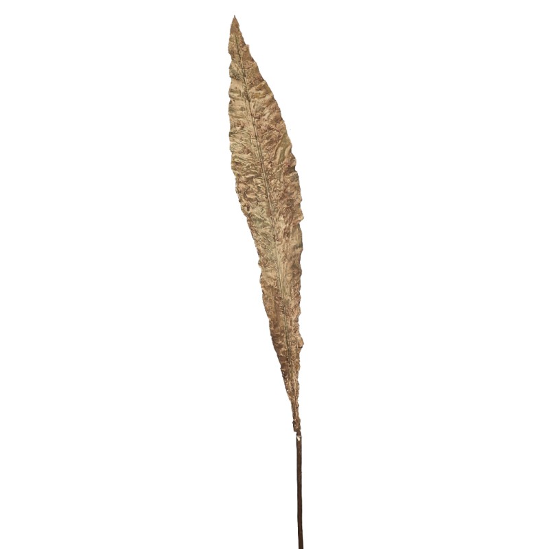 VARA HOJA VINTAGE 103CM