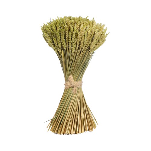 ATADO DE TRIGO PRESERVADO 46CM