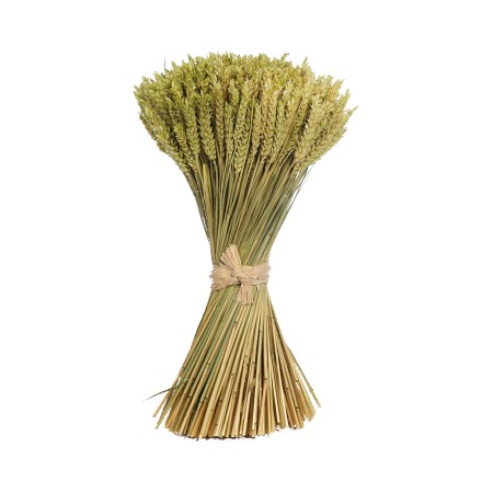 ATADO DE TRIGO PRESERVADO 46CM